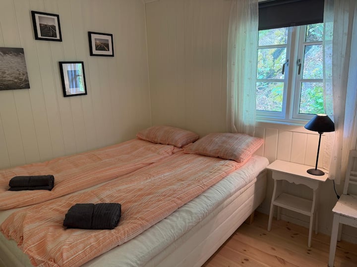 Habitación 1