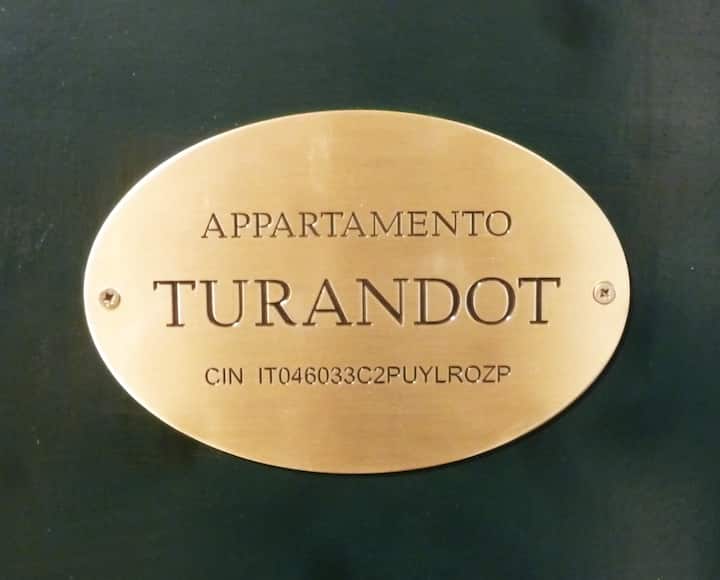Appartamento Turandot - 維亞雷焦