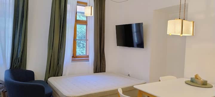 Okapi Historical Downtown Flat - Cluj-Napoca