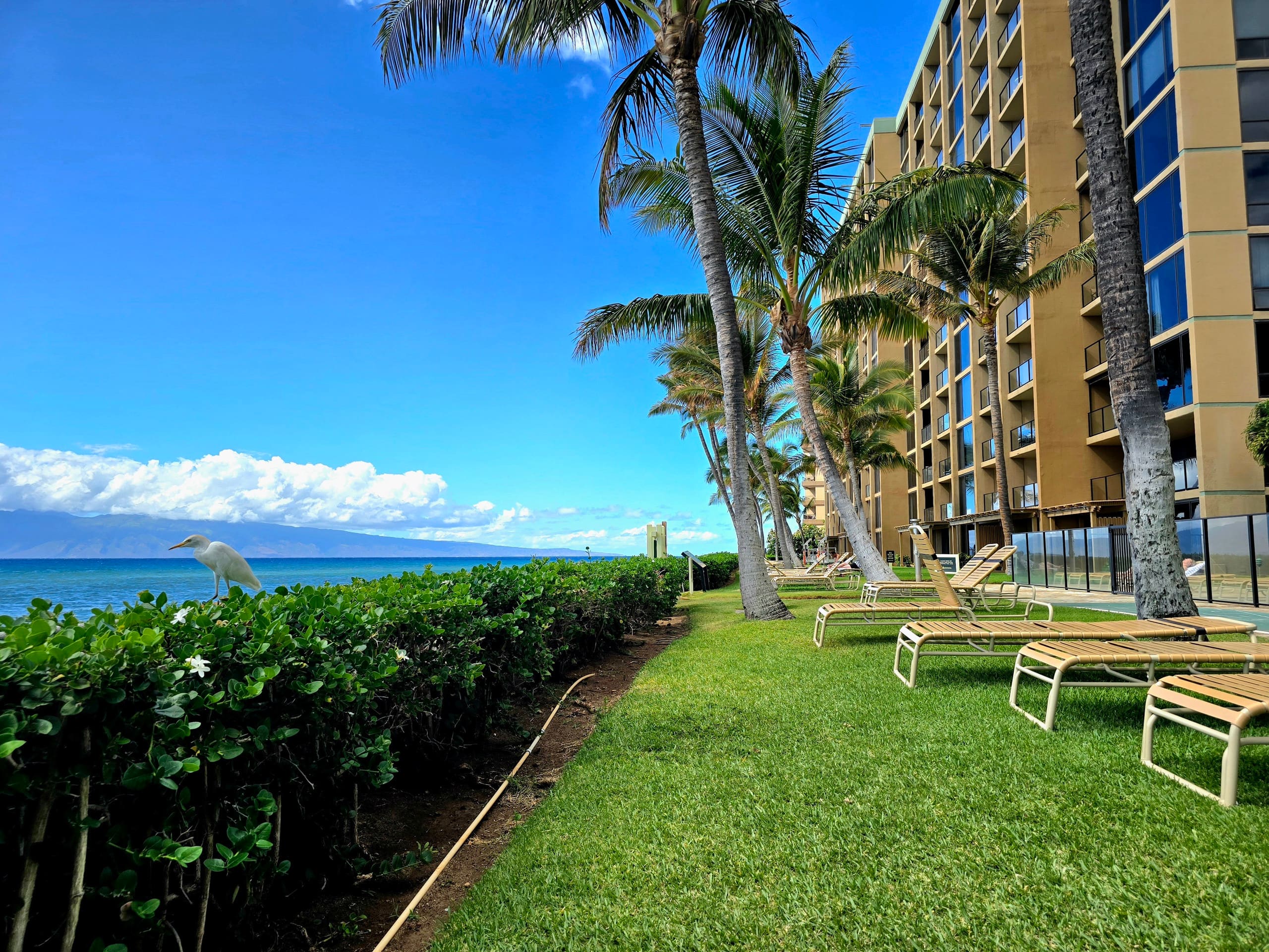 Direct Oceanfront Mahana 2 King Bed Master Suites - Image 49