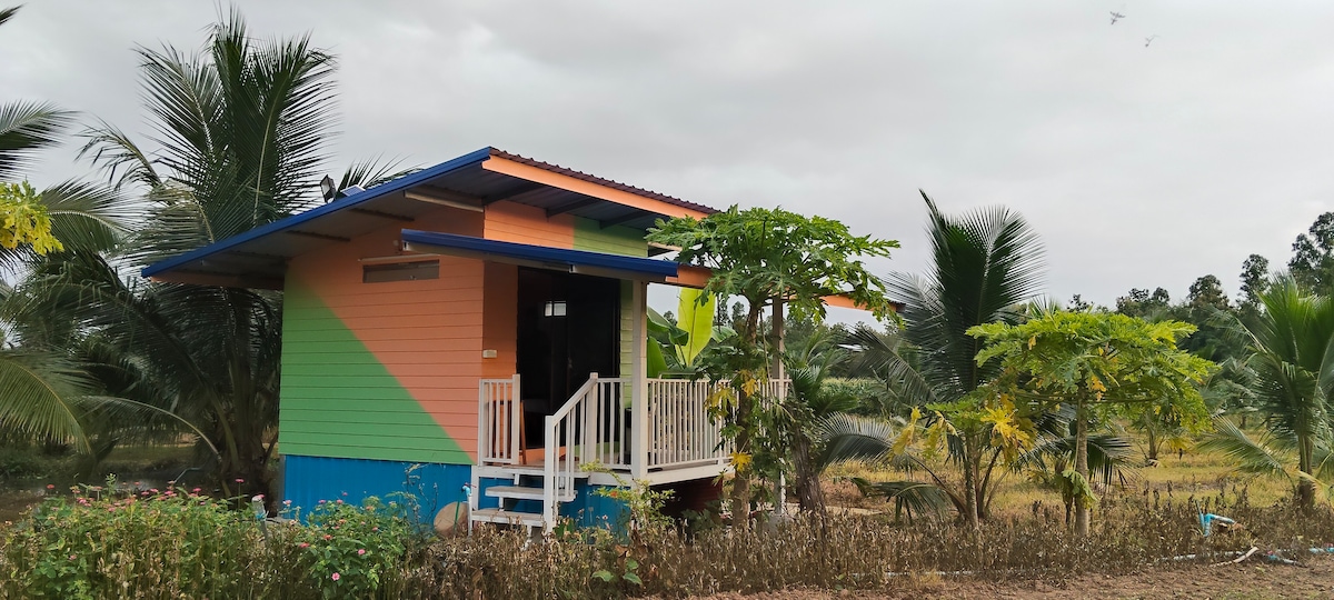 A unique colorful cabin is surrounded by a lush landscape of tropical plants. The structure features a sloped roof with vibrant orange and green walls. A small porch with white railings provides access to the entrance, while palm trees are seen in the background.