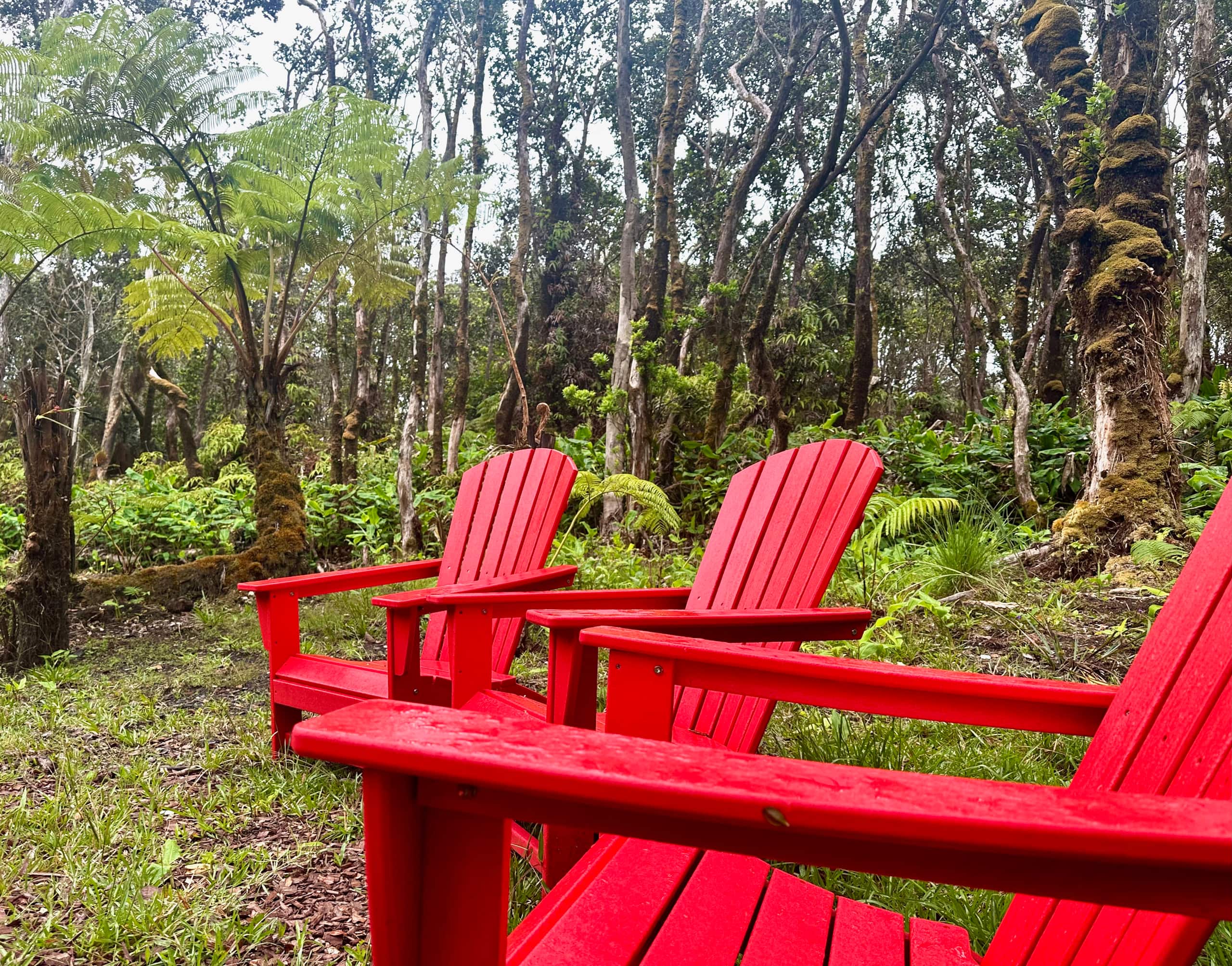 Home in Mauna Loa Estates · ★5.0 · 3 bedrooms · 4 beds · 2 baths - Photo 24