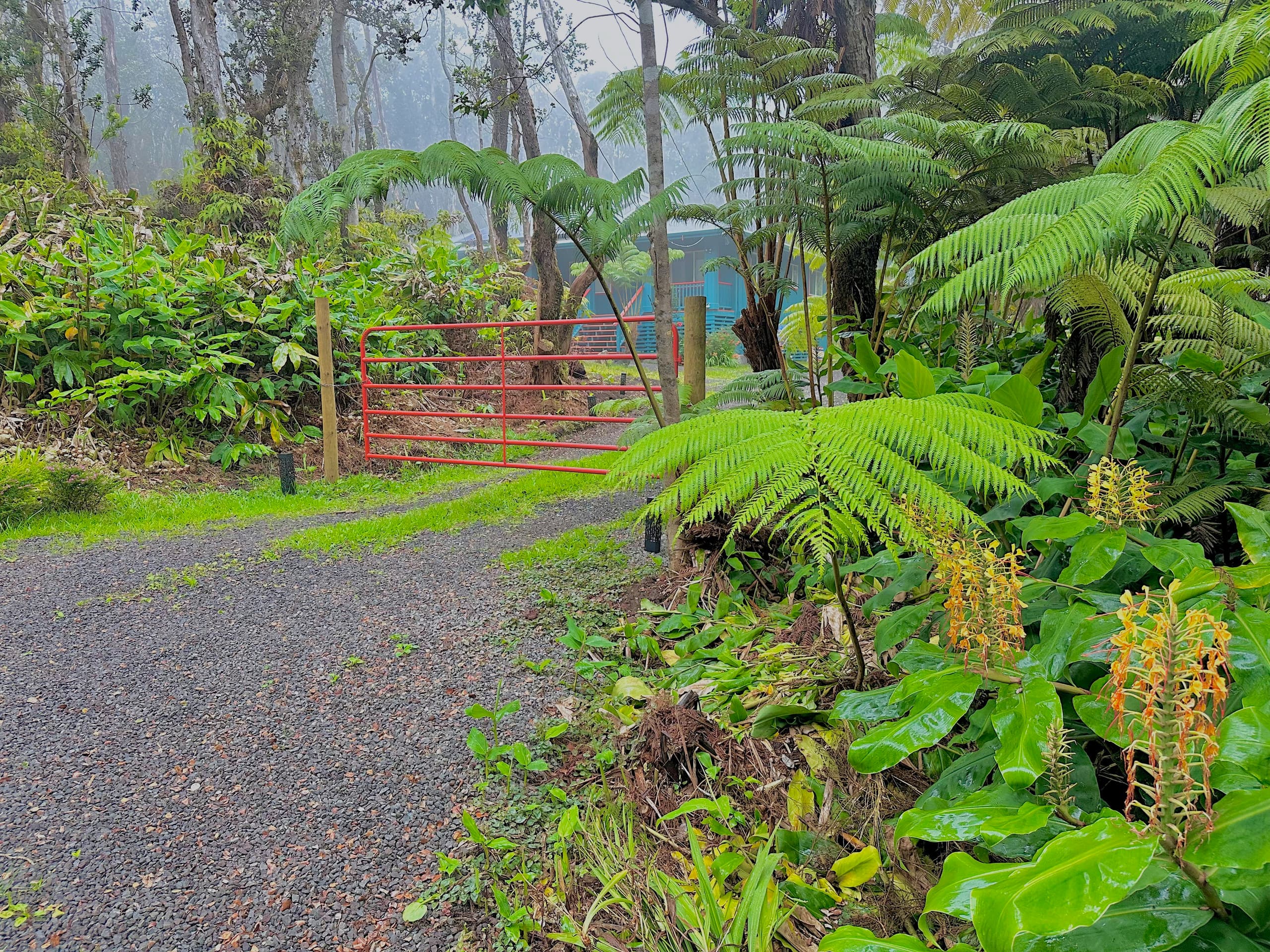Home in Mauna Loa Estates · ★5.0 · 3 bedrooms · 4 beds · 2 baths - Photo 34