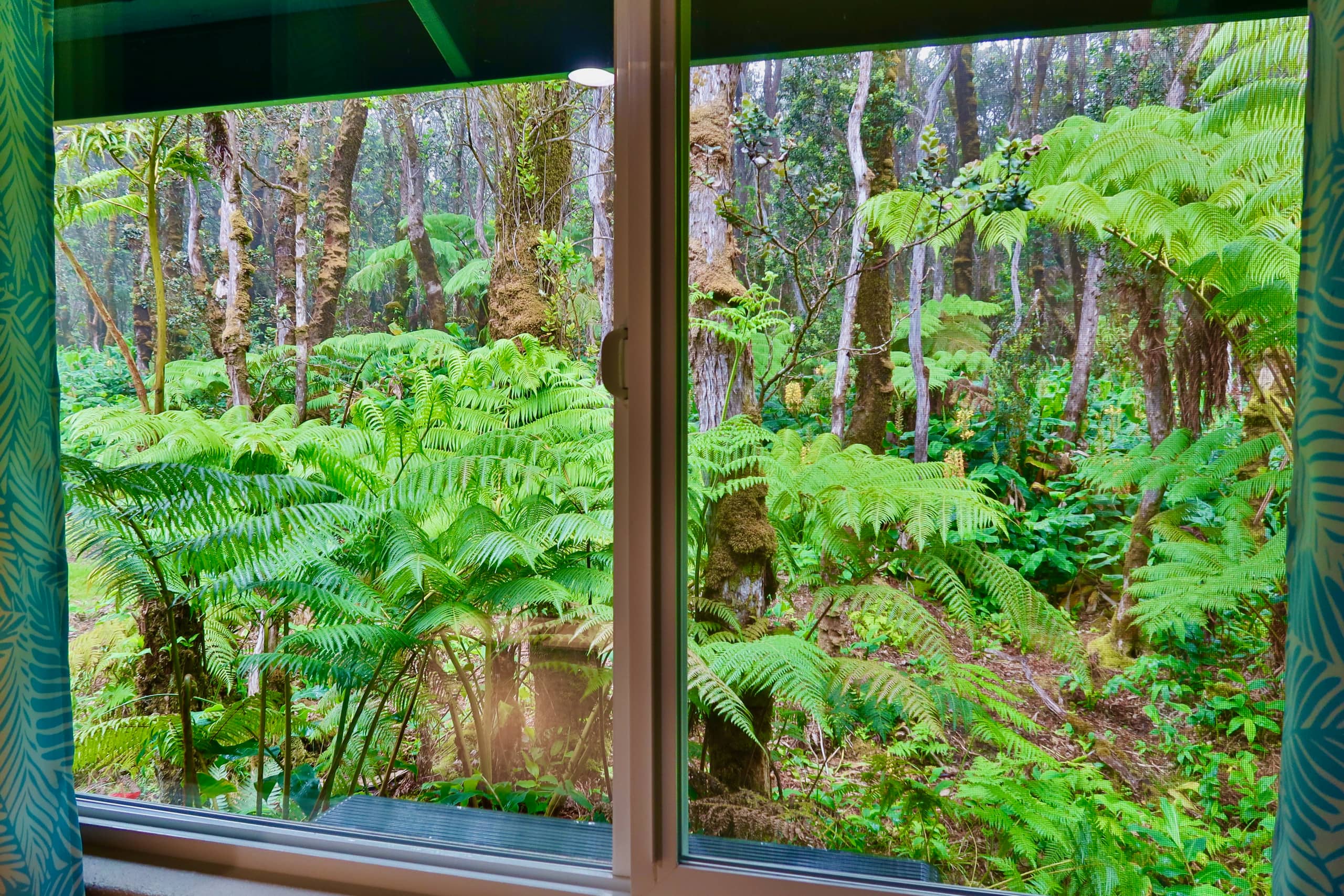 Home in Mauna Loa Estates · ★5.0 · 3 bedrooms · 4 beds · 2 baths - Photo 21
