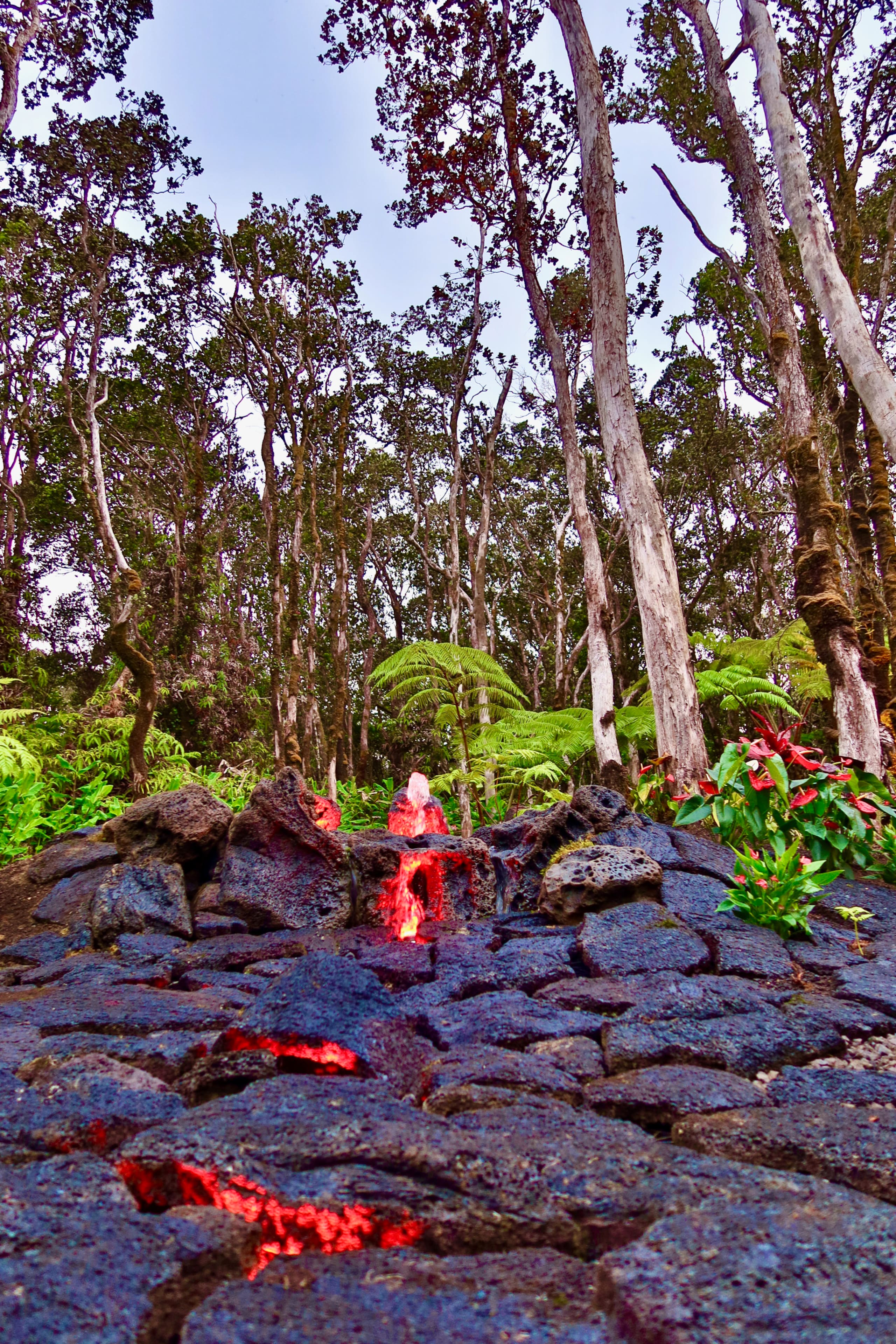 Home in Mauna Loa Estates · ★5.0 · 3 bedrooms · 4 beds · 2 baths - Photo 27