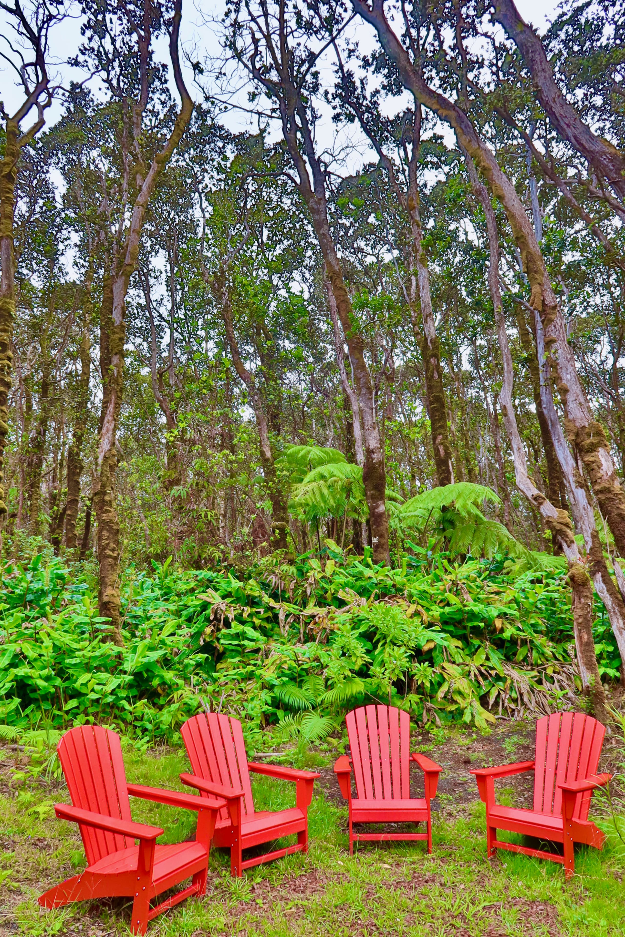 Home in Mauna Loa Estates · ★5.0 · 3 bedrooms · 4 beds · 2 baths - Photo 17