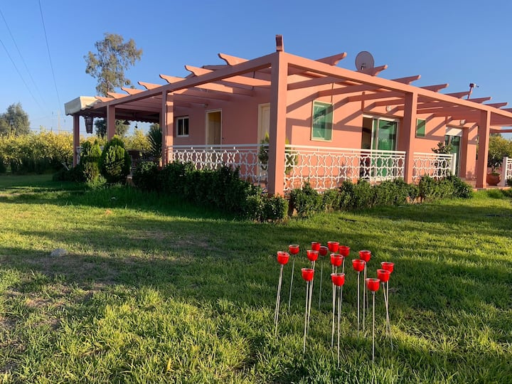 Maple Farm Rabat Saba's Farm - Farm stays for Rent in Khemis Sidi Yahya, Rabat-Salé ...