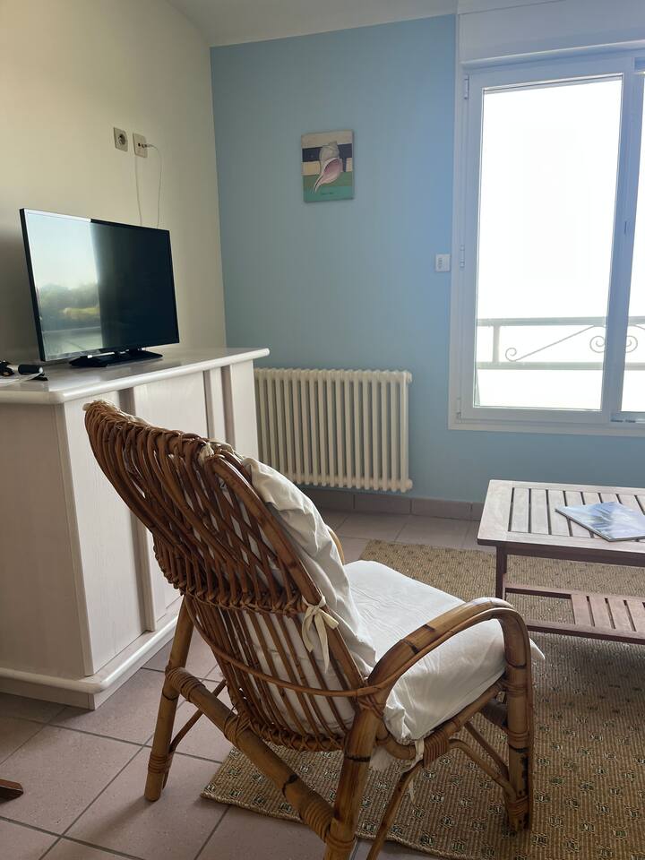 Deux Pièces Vue Mer Accès Plage - Fouesnant