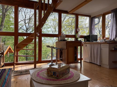 Wooden house with sauna on the edge of the forest