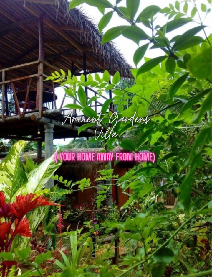 Ancient Gardens - Peaceful Garden Stay Near Kandy - Sri Lanka