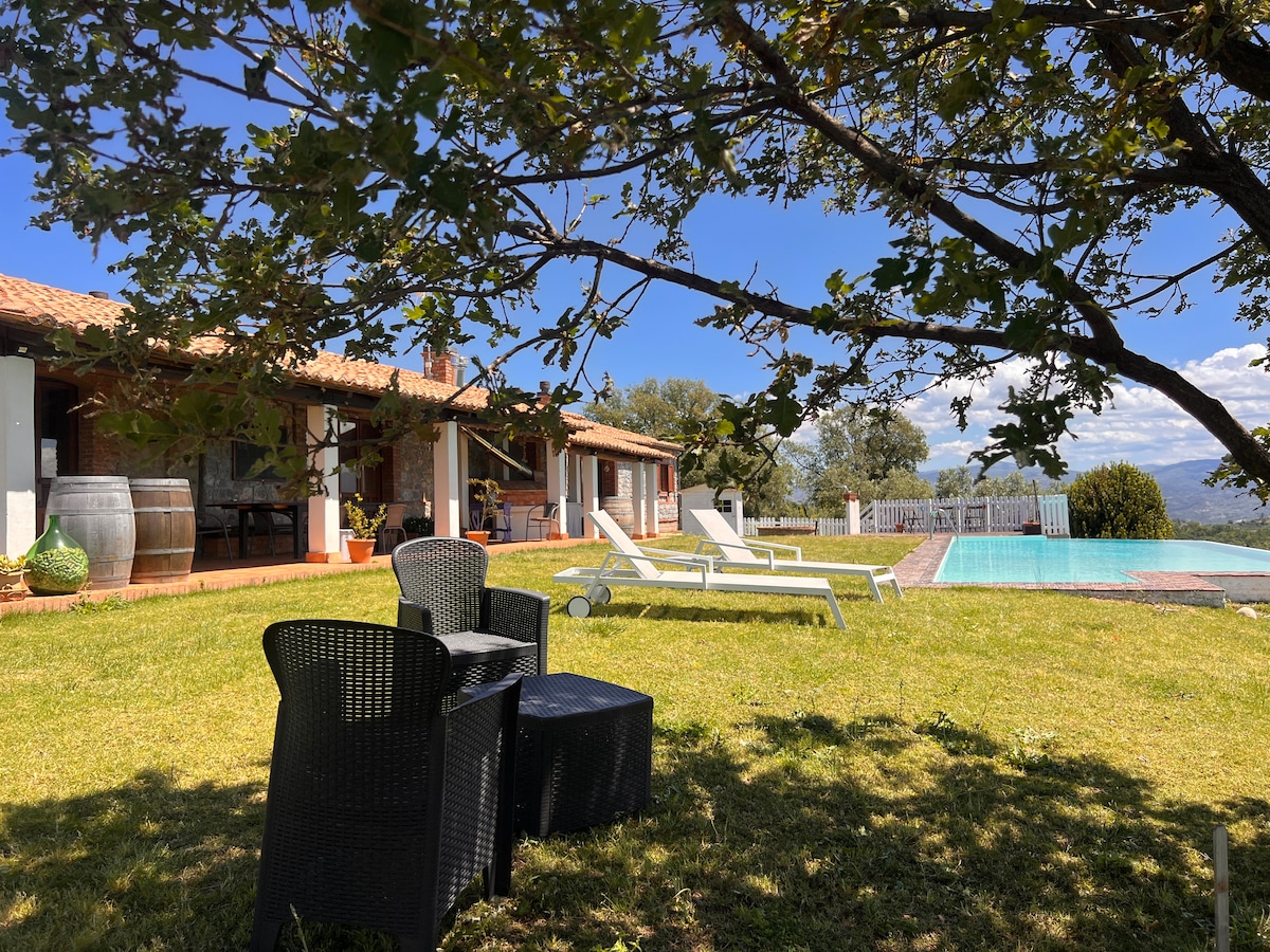 A shaded area is provided by a large tree, under which black wicker chairs and a small table are arranged. In the background, a spacious lawn leads to a tranquil infinity pool, with sun loungers positioned on the pool deck and a charming country house visible.