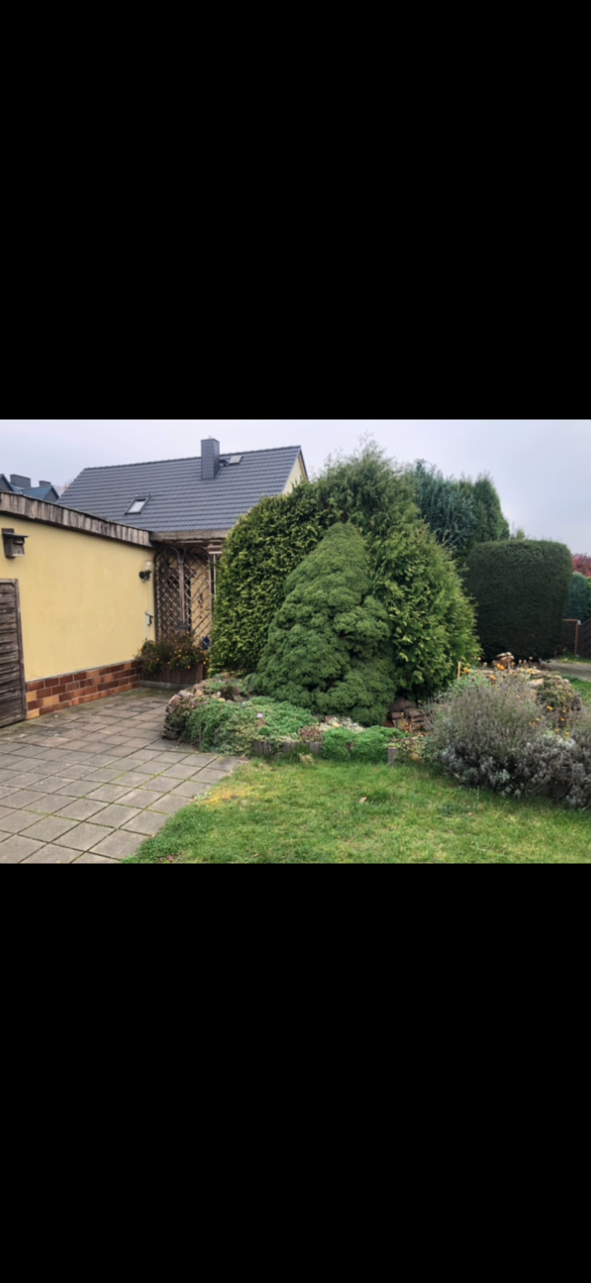 A well-maintained outdoor space features neatly trimmed hedges and lush greenery. The path is paved with stone tiles, leading to a yellow facade of a house partially visible in the background, framed by shrubs and trees.