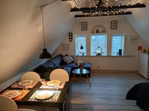 Small penthouse in Nordborg