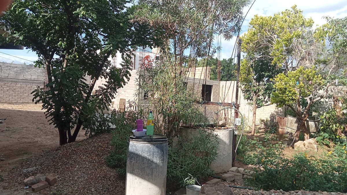 A serene outdoor space features a variety of trees and vegetation, providing a lush backdrop. Two stone structures are visible in the distance, complementing the natural surroundings. The ground is covered with small gravel and rocks, enhancing the rustic feel of the area.