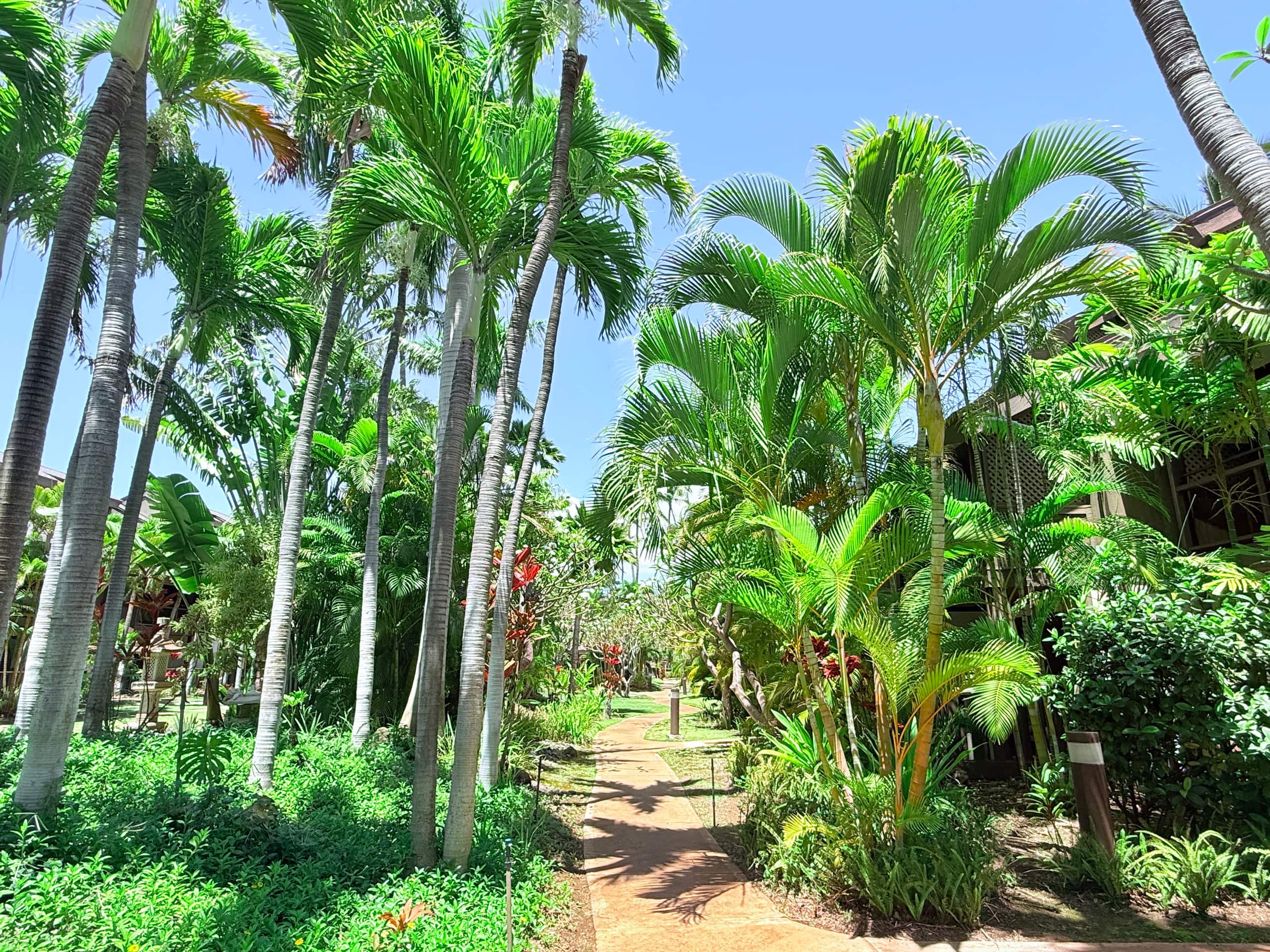 Modern Kihei Hideaway/Pool/ZenGarden/Beach/KingBed - Image 23