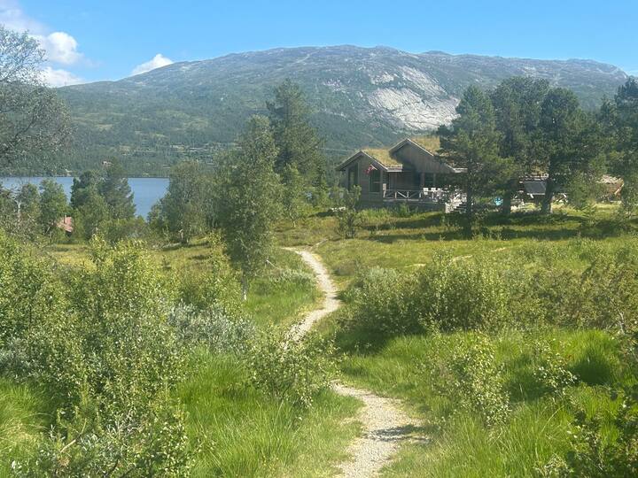 Delikat Hytte, Rolig Enkel Luksus I Nydelig Natur. - Bykle