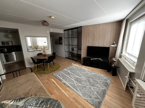 Top performing Airbnb: Cozy appartment with sauna in Maritime Helsinki in Sörnäinen