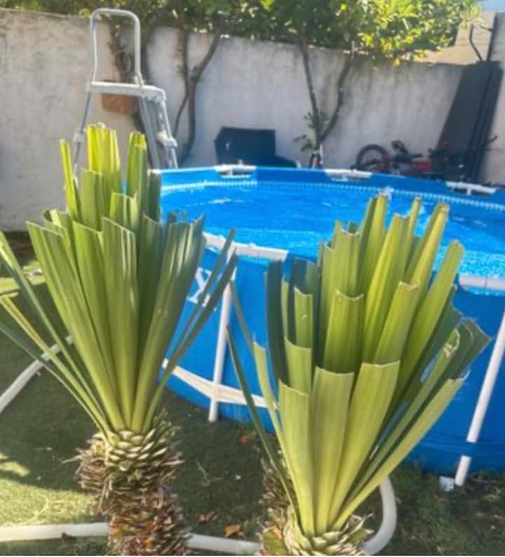 Villa Détente Montpellier - Montpellier