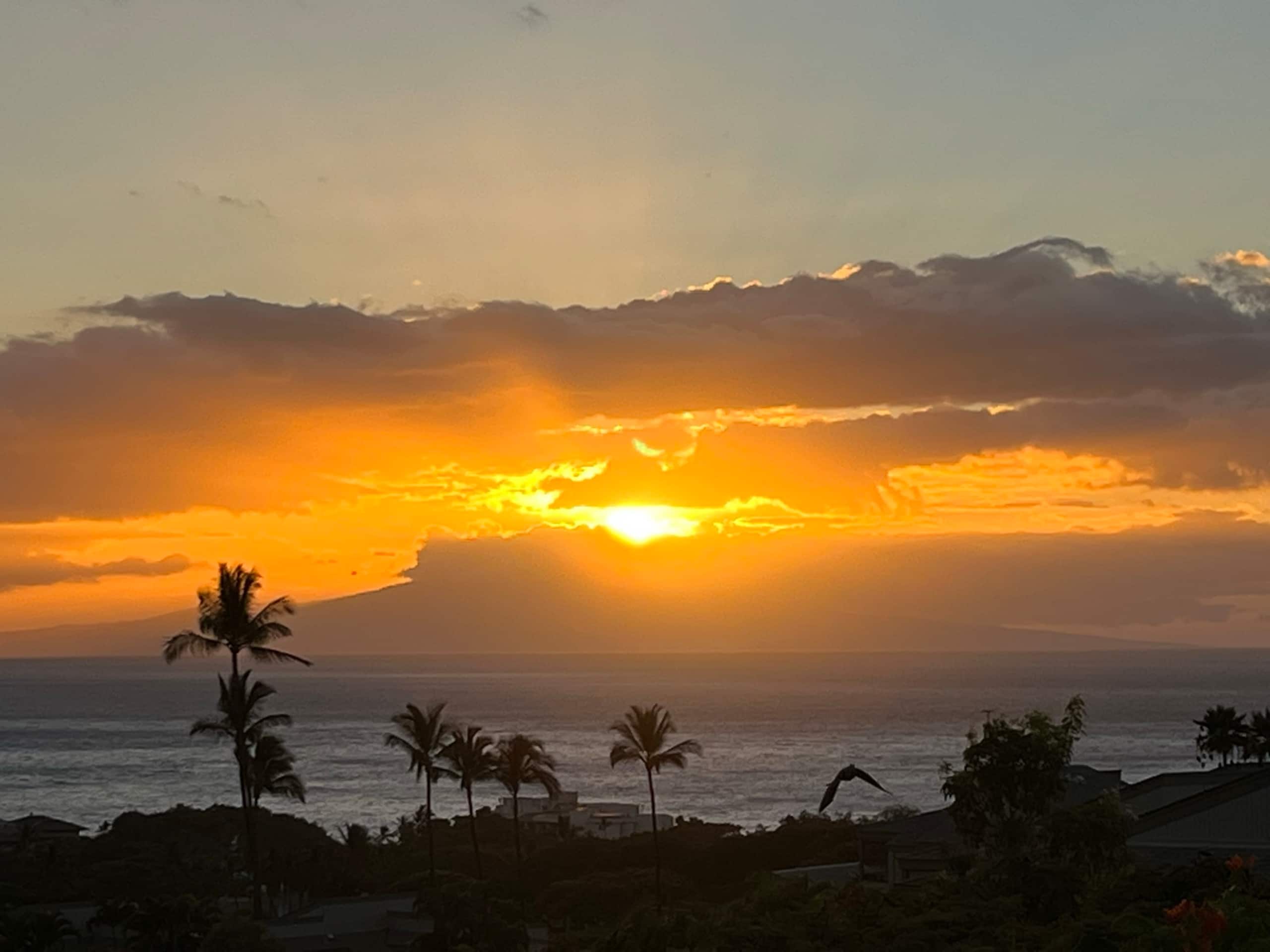 Condo in Wailea · ★4.95 · 1 bedroom · 3 beds · 2 baths - Photo 67