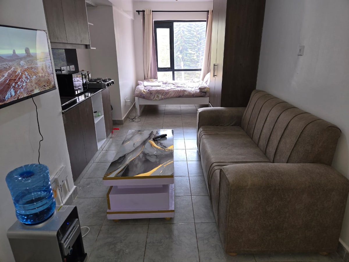 Acogedor estudio amueblado - Departamentos en renta en Nairobi, Nairobi ...