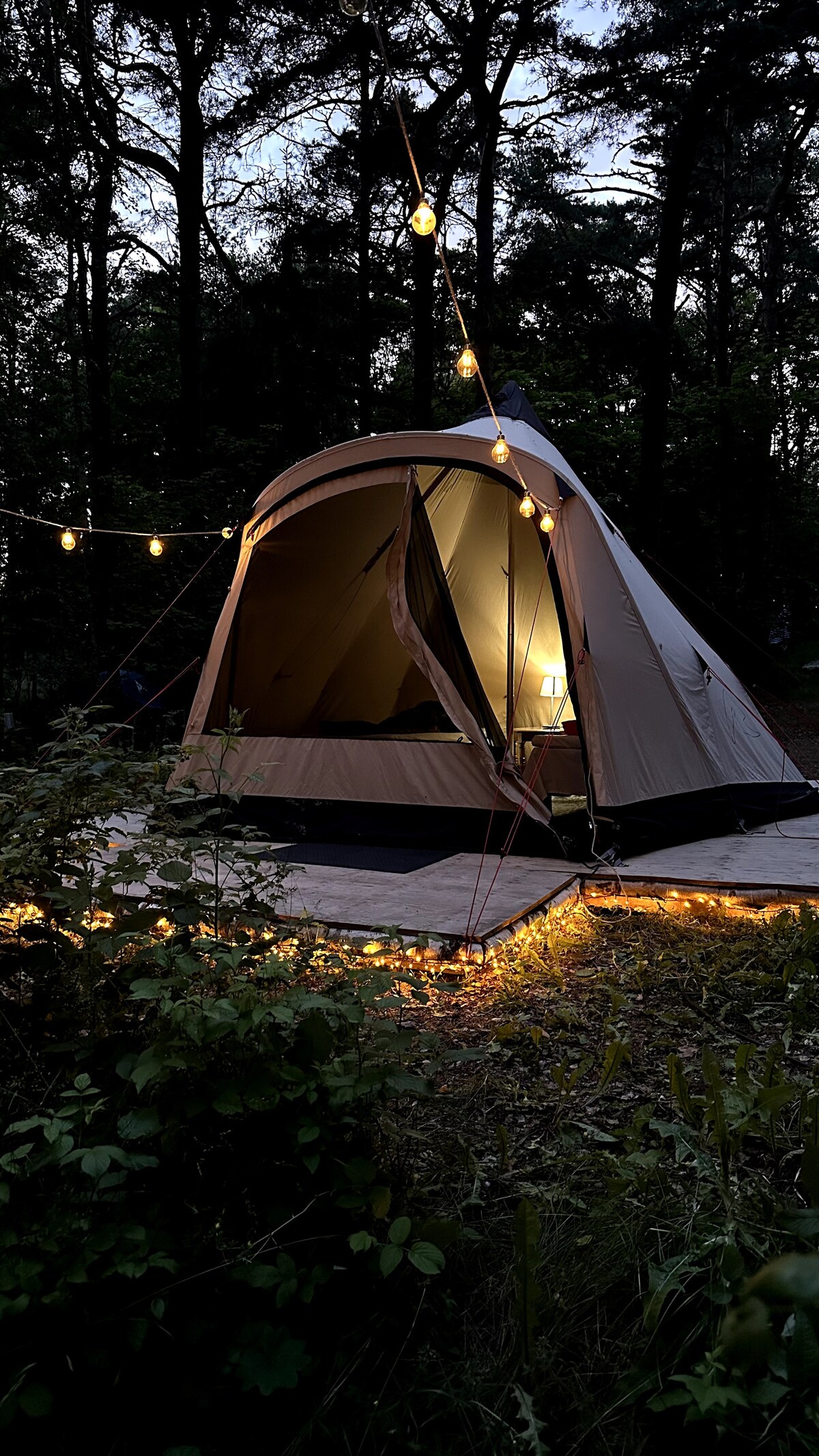 A tent is illuminated softly by string lights and a lamp, set on sandy ground surrounded by lush foliage. The entrance of the tent faces outward, revealing a welcoming interior glow against the twilight backdrop.
