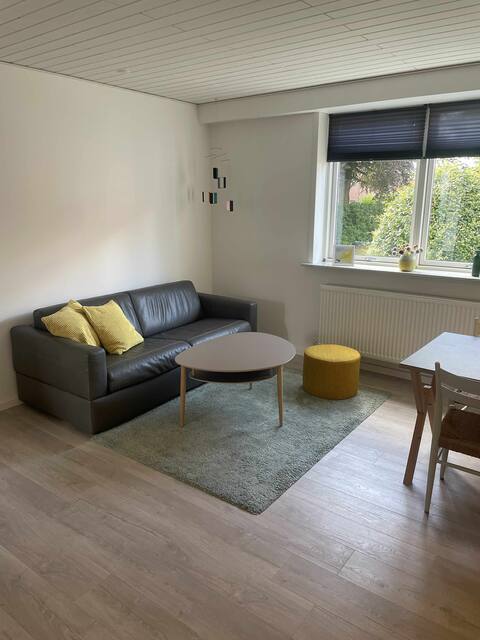 Top performing Airbnb: Central Lejlighed i Herning in Herning