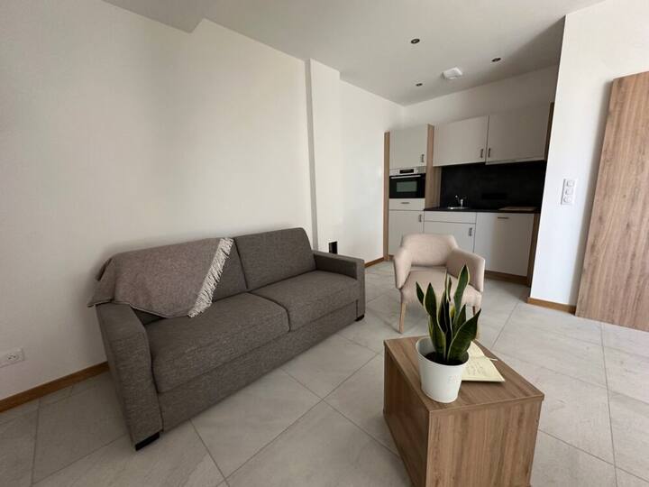 Domaine De Haslach - Appartement Standard - Munster