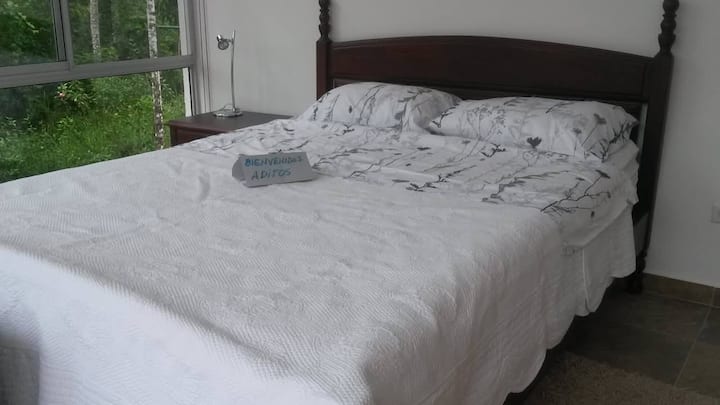 Habitación 2