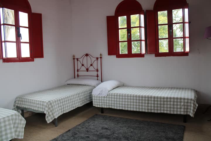 საძინებელი 6