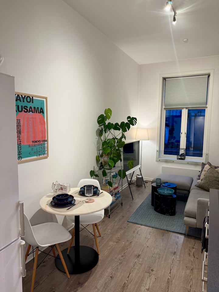 Koselig Og Sentral Leilighet Med Nærhet Til Alt! - Oslo