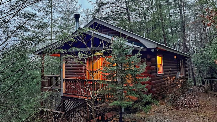 Beary Cozy Cabin: Serene Wooded Retreat w/ Hot Tub - Cabins for