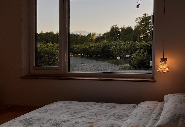 Sehemu ya chumba cha kulala cha 1 ni sehemu ambapo unaweza kuona milima ya Hallasan na mashamba ya tangerine yakiwa mazuri. (Jioni mwezi Mei)