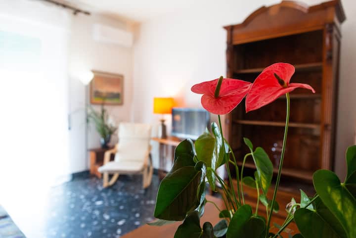 סלון עם ספה נפתחת, מיזוג אוויר וטלוויזיה חכמה 
