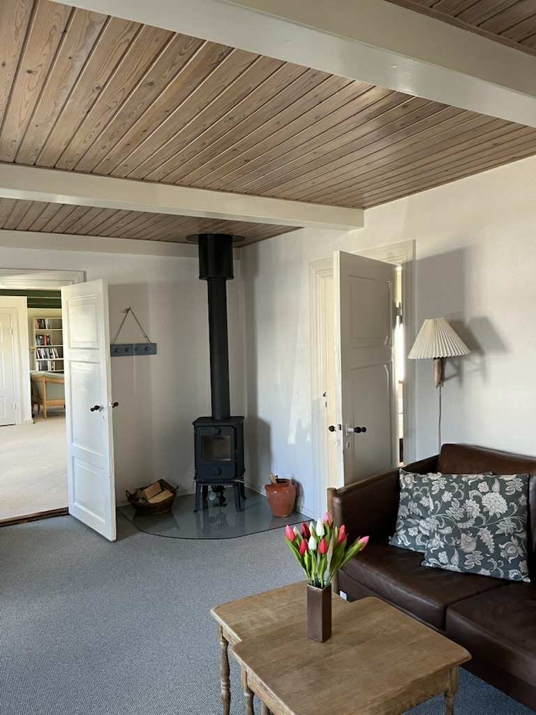 A comfortable living area features a dark brown sofa adorned with a decorative cushion. A small wooden table with a vase of tulips is placed in front, while a modern wood stove stands in the corner. Light enters through the open doors leading to another room.