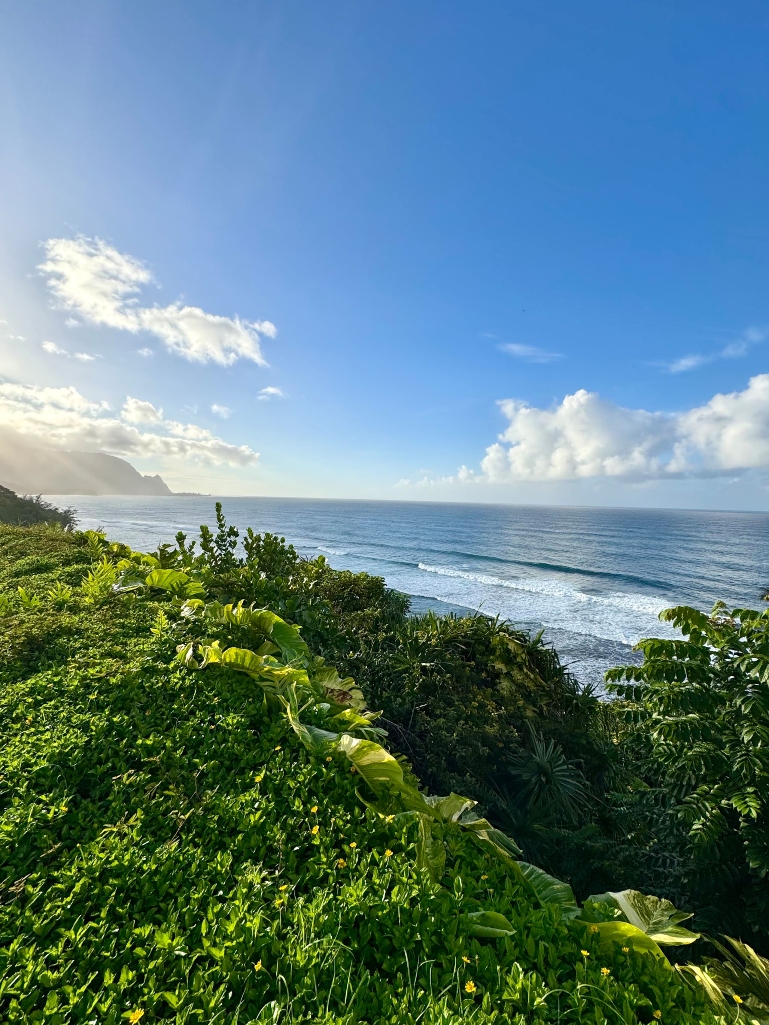 Townhouse in Princeville · ★4.97 · 2 bedrooms · 6 beds · 2 baths - Image 23
