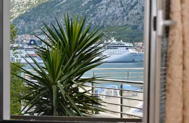Castor Coastal Comforts - Kotor