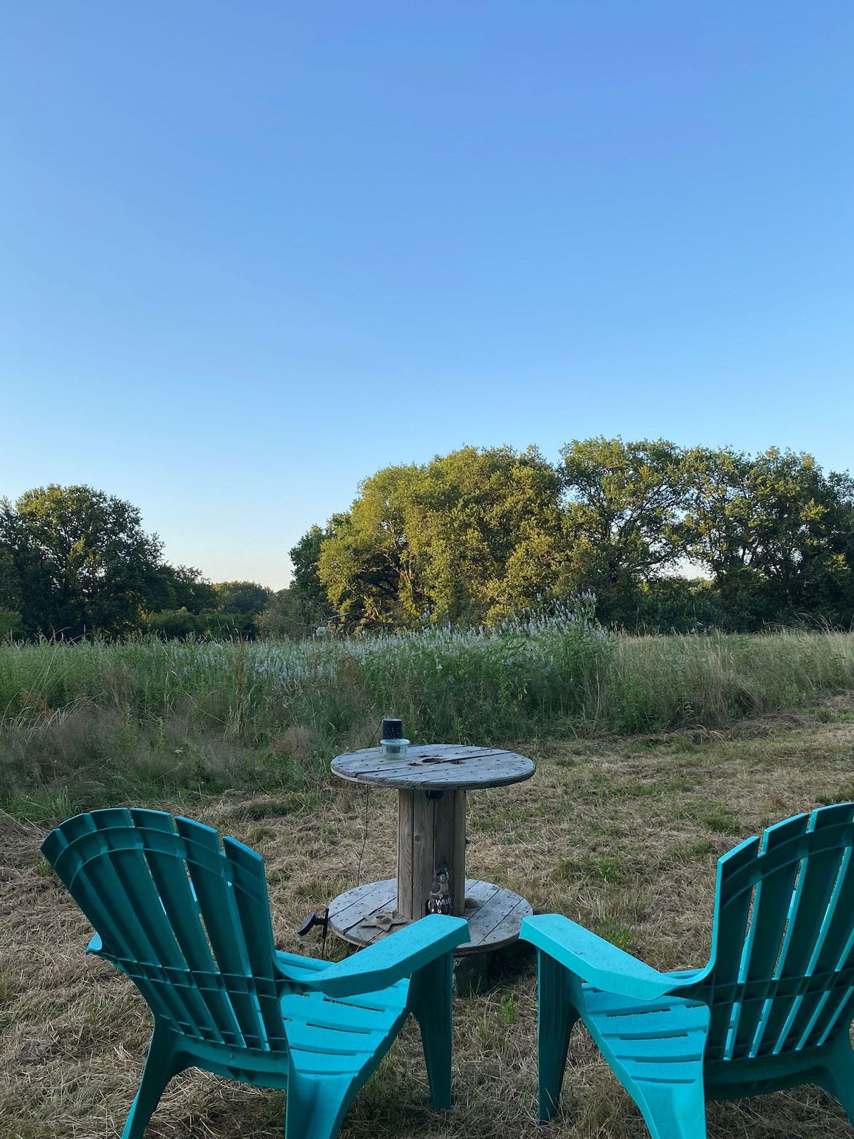 Two teal Adirondack chairs are positioned around a wooden table, set in a grassy area surrounded by lush greenery. Above, a clear blue sky is visible. Tall grass sways gently in the breeze, creating a serene outdoor setting.