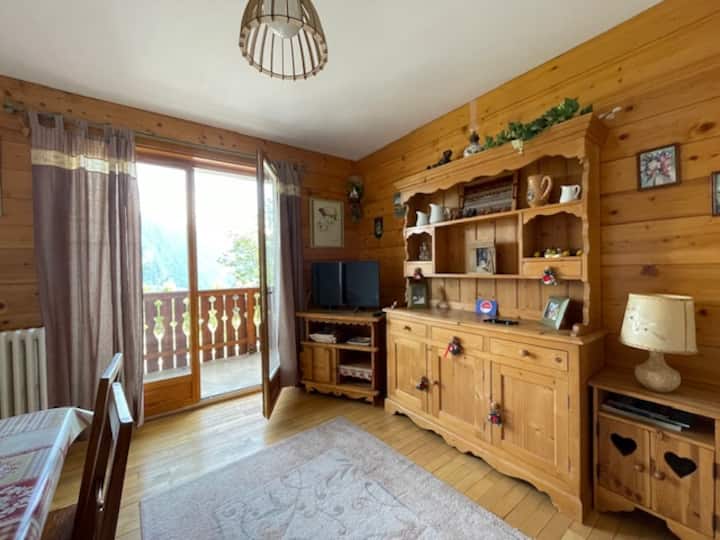 Appartement F2 - Vue Mont Blanc - Passy