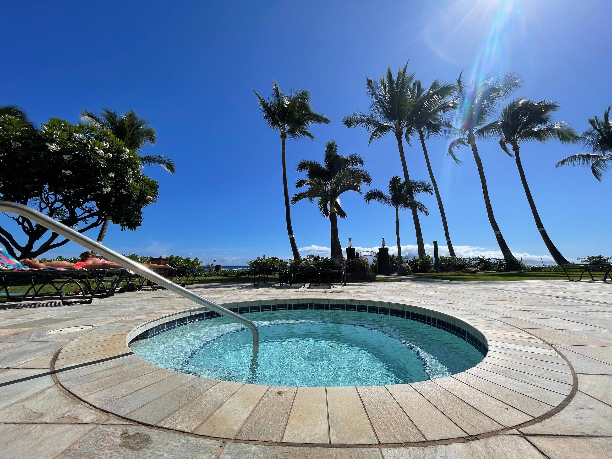 Relaxing Oceanfront Studio at Lahaina Shores - Image 29