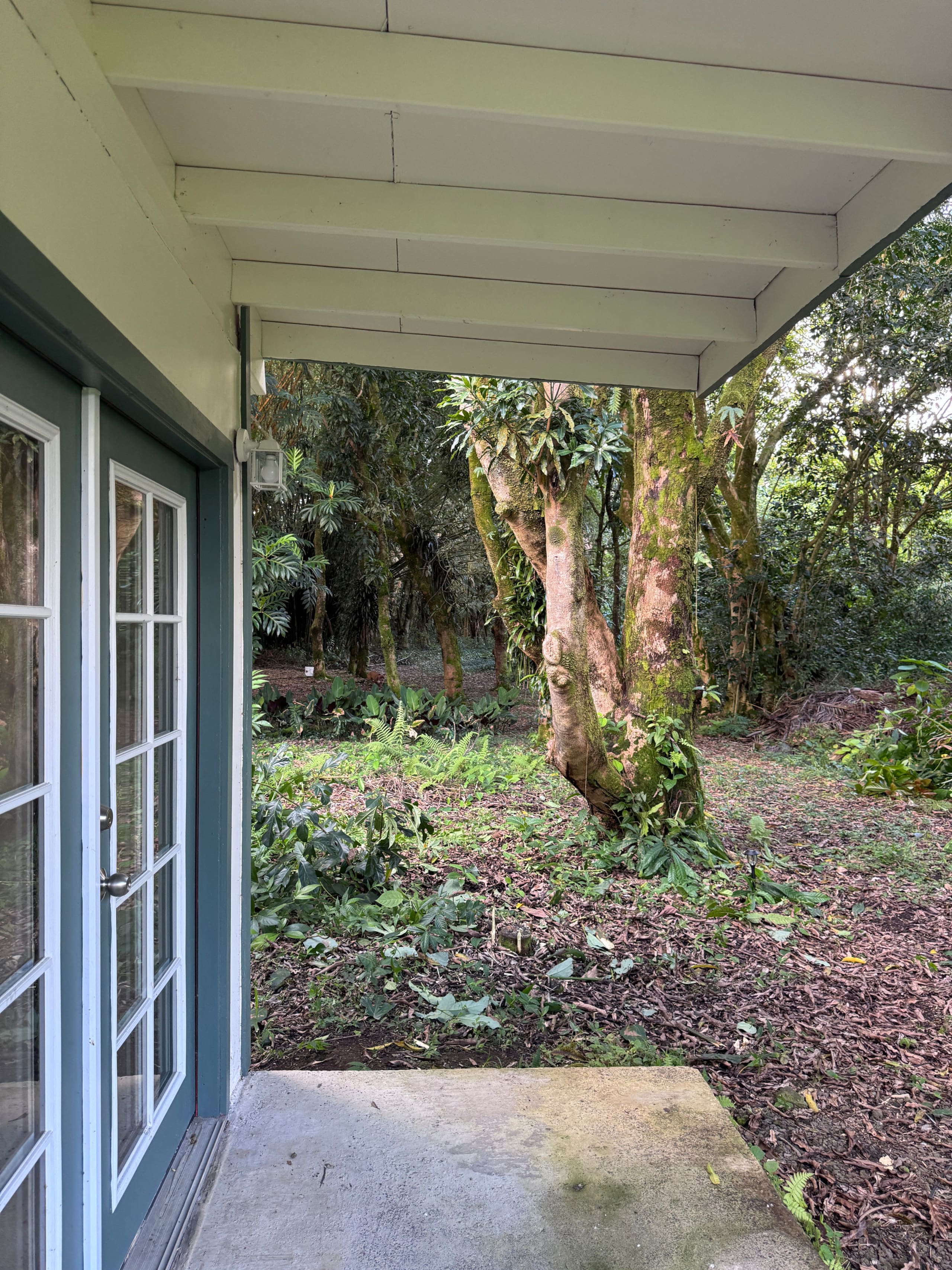 Home in Kurtistown · ★4.85 · 1 bedroom · 2 beds · 1 private bath - Image 48