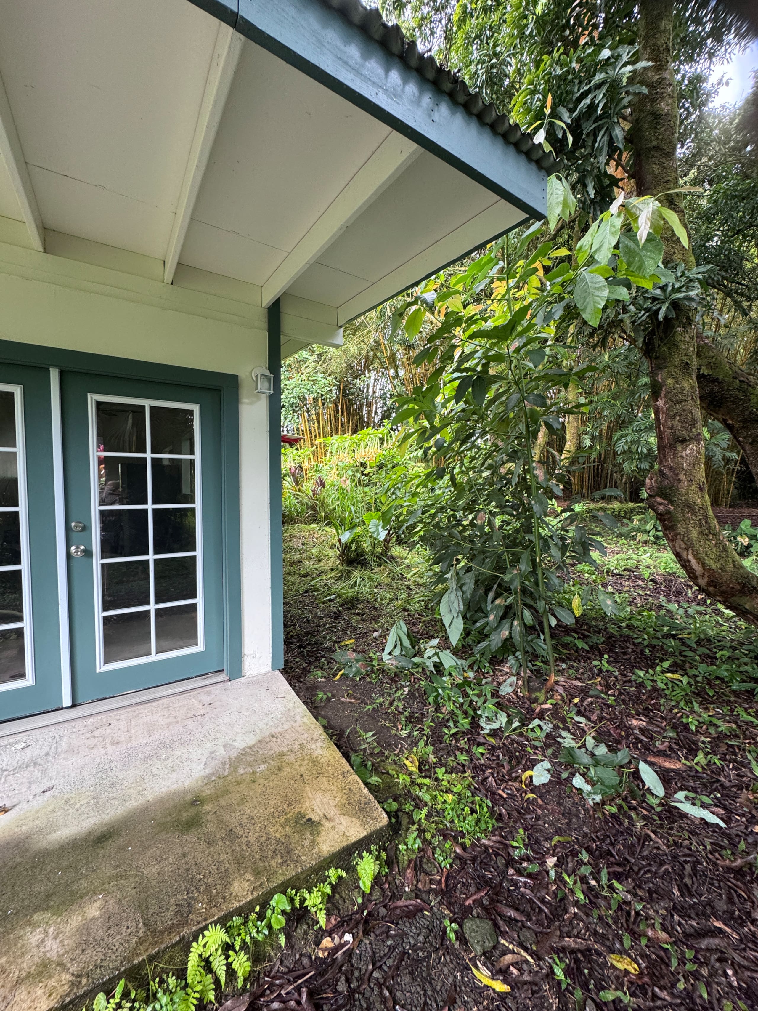 Home in Kurtistown · ★4.85 · 1 bedroom · 2 beds · 1 private bath - Image 47
