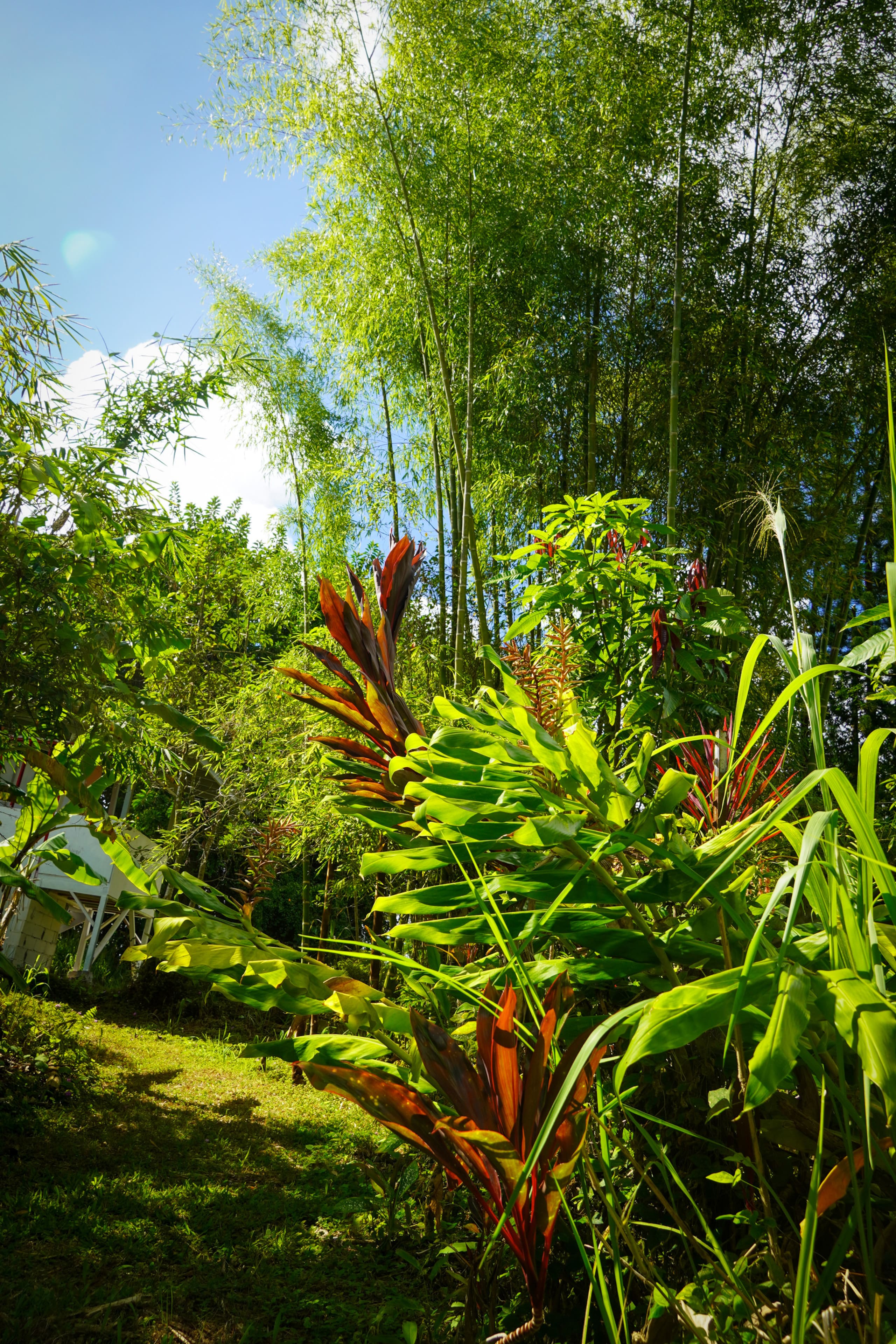 Home in Kurtistown · ★4.85 · 1 bedroom · 2 beds · 1 private bath - Image 44