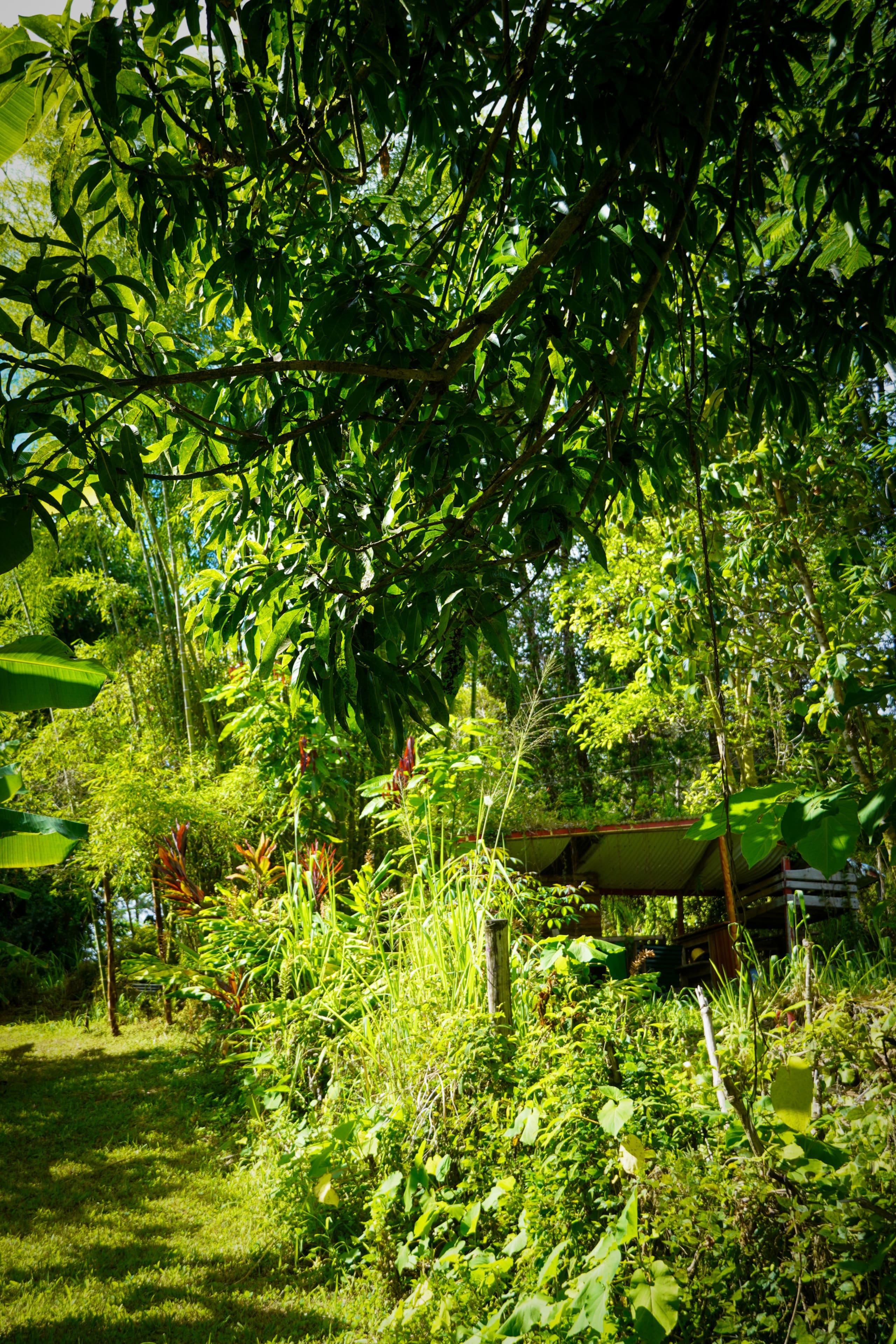 Home in Kurtistown · ★4.85 · 1 bedroom · 2 beds · 1 private bath - Image 46
