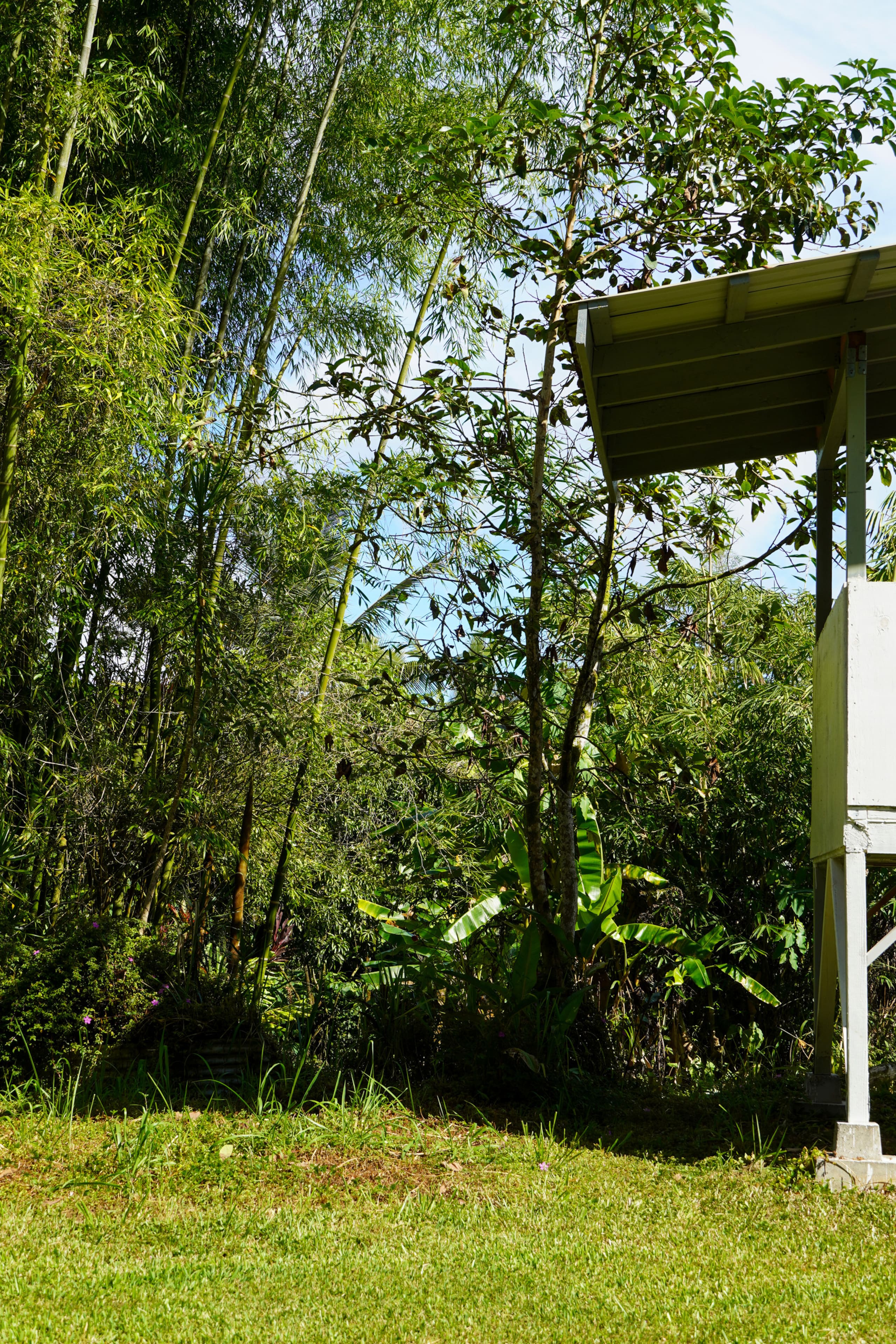 Home in Kurtistown · ★4.85 · 1 bedroom · 2 beds · 1 private bath - Image 42