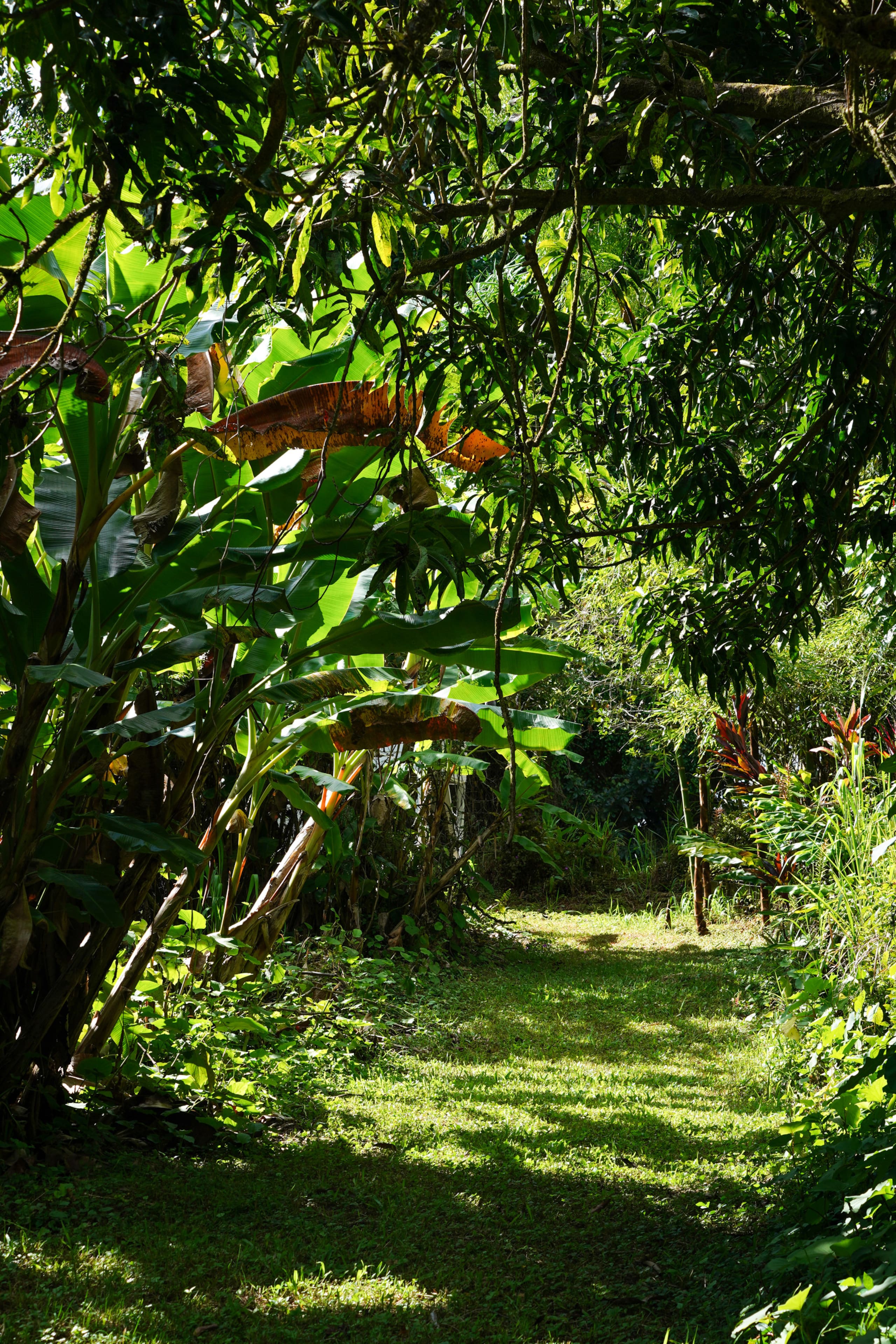 Home in Kurtistown · ★4.85 · 1 bedroom · 2 beds · 1 private bath - Image 32