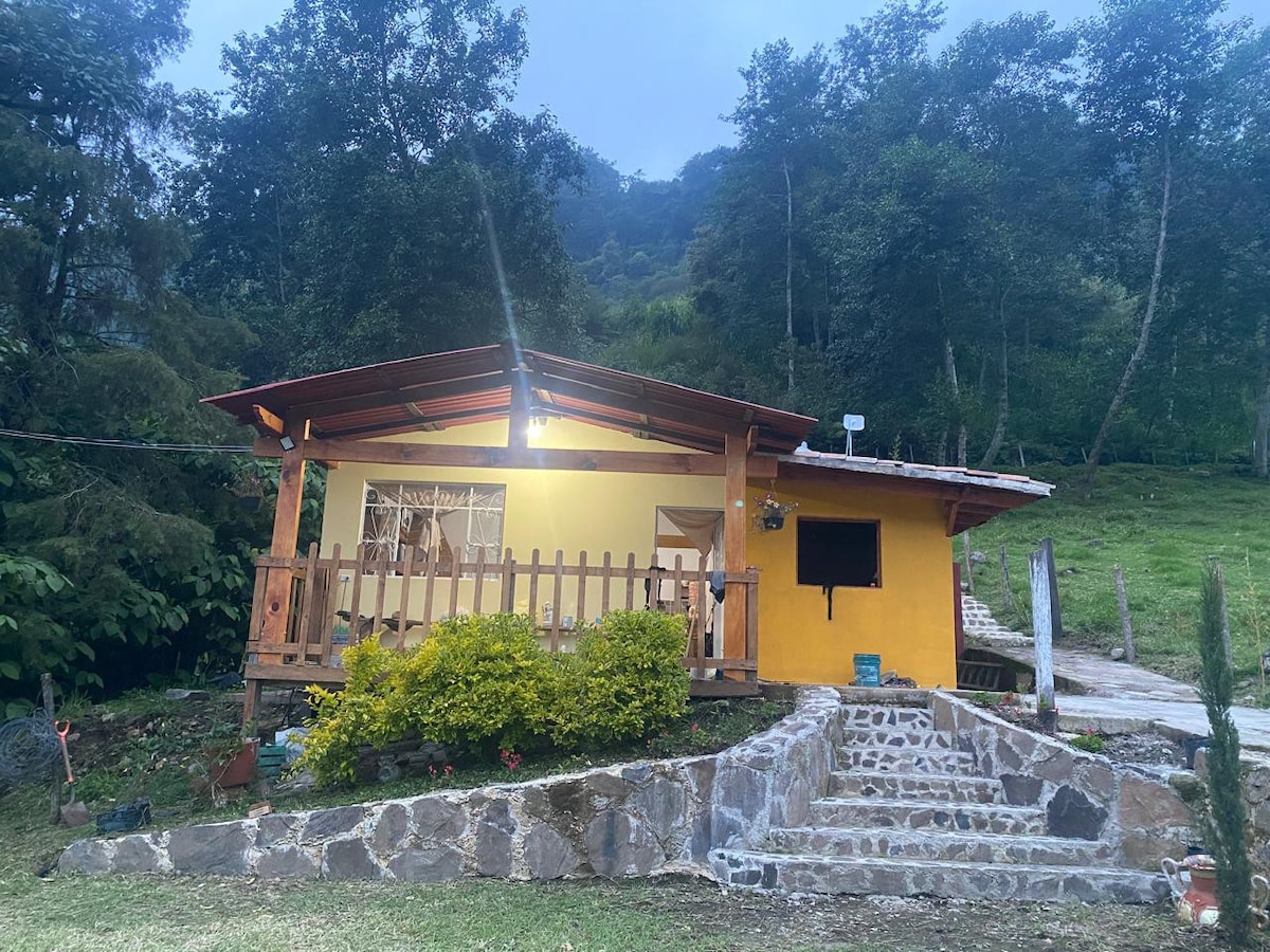 A welcoming cabin is situated amidst lush greenery, featuring a sturdy wooden porch with railings. Steps lead up to the entrance, flanked by neatly arranged plants. The structure is painted a warm yellow and is surrounded by trees, offering a serene mountain setting.