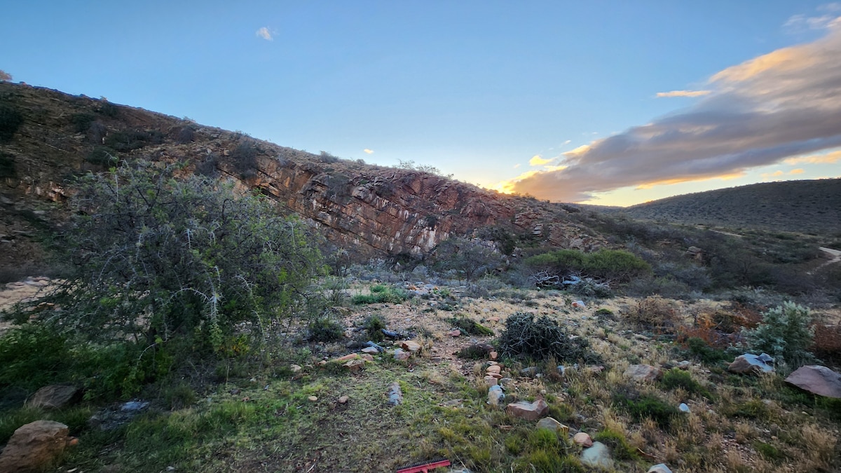 A natural landscape is presented, featuring a rocky hillside bathed in soft evening light. Various shrubs and grasses populate the foreground, while a range of hills extends into the distance, showcasing a variety of earthy tones and textures against the sky.