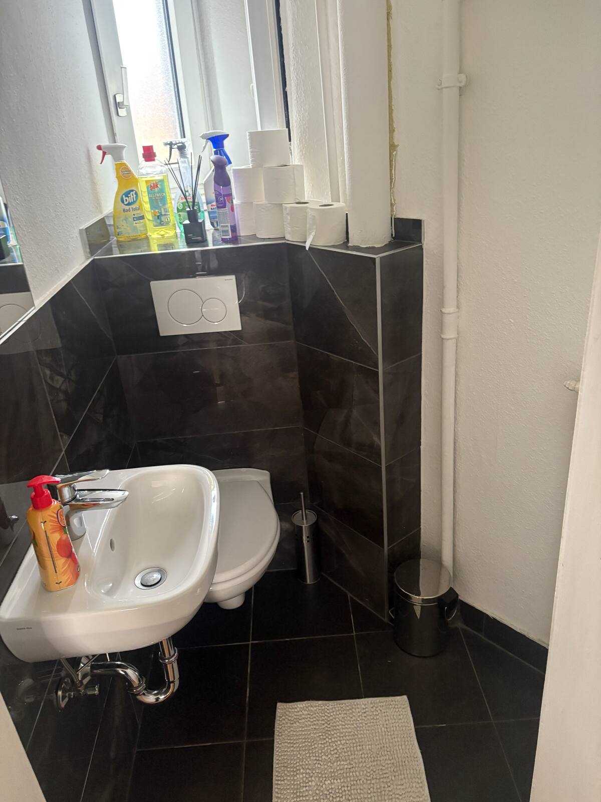 Apartment with 2 bedrooms in Offenbach/Frankfurt