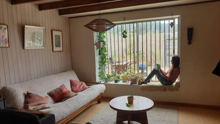 Pichilemu Acogedora Casa Con Patio - Pichilemu