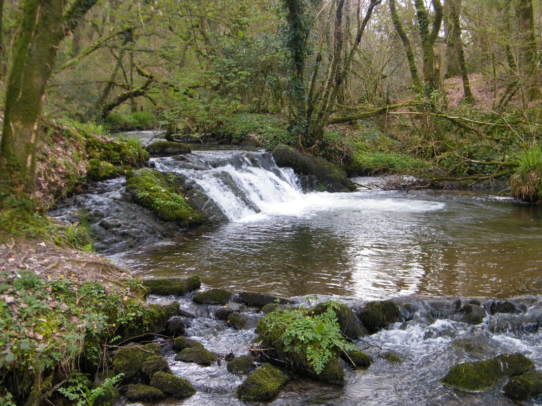 Fulacht fia in Kilfinny
